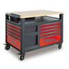 Beta Rolling Tool Cabinet, 10 Drawer, Gray, 23 in W x 14 in D 028003007